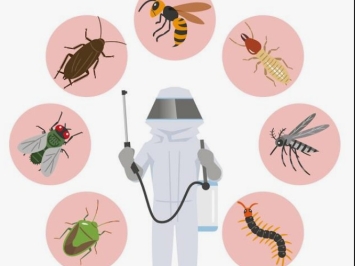 Hóa chất diệt côn trùng